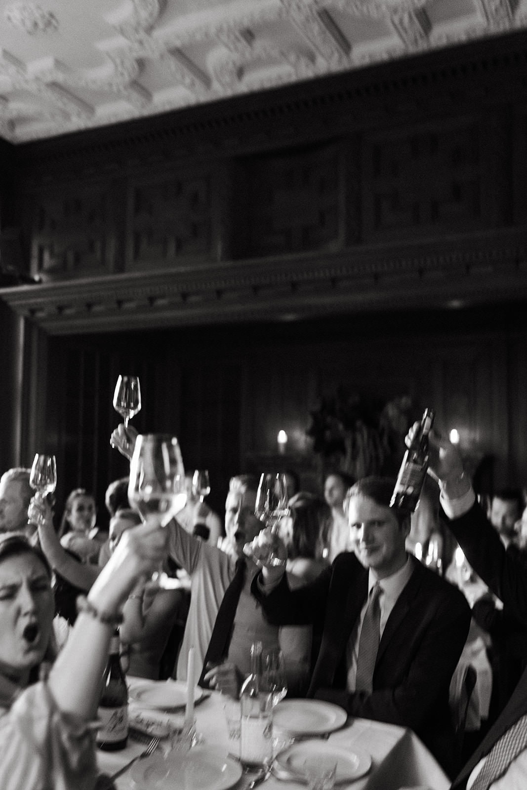 Wedding guests raising glasses in a celebratory toast at Villa Mignon. German Alt Tags: